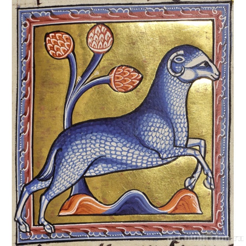 Валух. Миниатюра из Абердинского бестиария