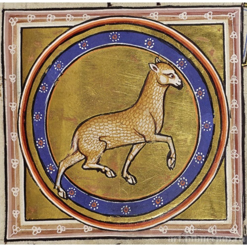 Ягненок. Миниатюра из Абердинского бестиария