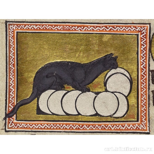 Миниатюра из Абердинского бестиария