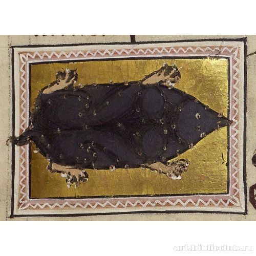 Крот. Миниатюра из Абердинского бестиария