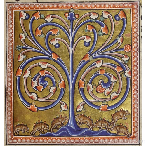 Ежи. Миниатюра из Абердинского бестиария