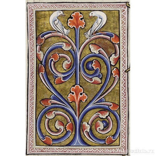 Горлицы. Миниатюра из Абердинского бестиария