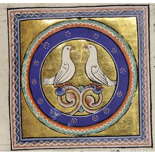 Пара горлиц. Миниатюра из Абердинского бестиария