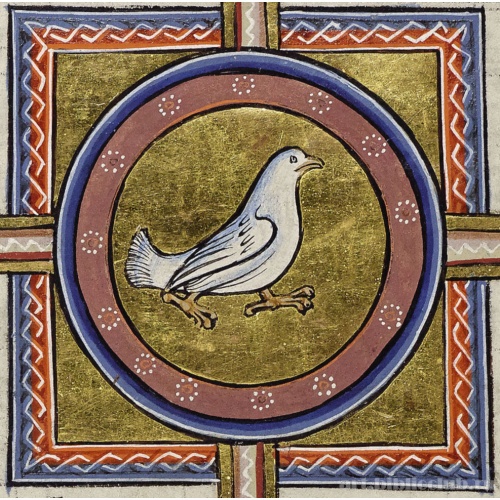 Миниатюра из Абердинского бестиария