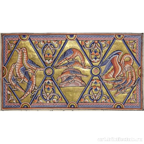 Пеликаны. Миниатюра из Абердинского бестиария