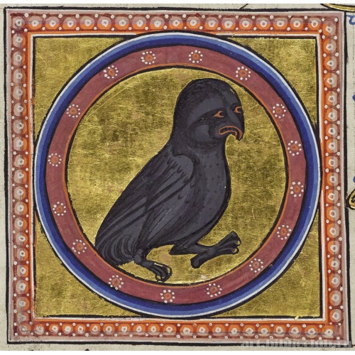 Сова. Миниатюра из Абердинского бестиария