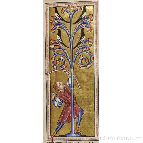 Охотник на сорок. Миниатюра из Абердинского бестиария