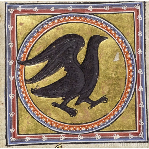 Дятел. Миниатюра из Абердинского бестиария