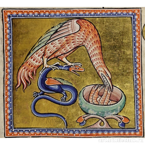 Ибис. Миниатюра из Абердинского бестиария