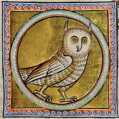 Филин. Миниатюра из Абердинского бестиария