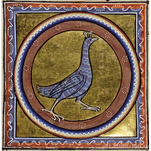 Удод. Миниатюра из Абердинского бестиария