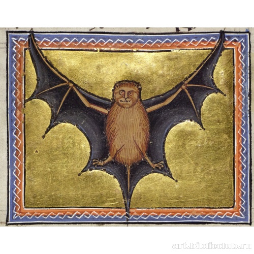 Летучая мышь. Миниатюра из Абердинского бестиария