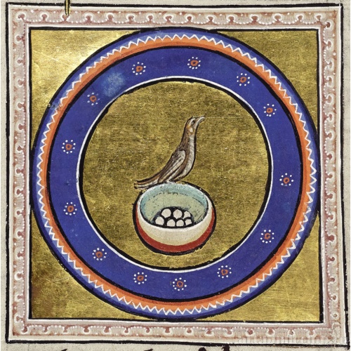 Соловей. Миниатюра из Абердинского бестиария