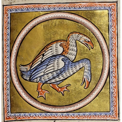 Гуси. Миниатюра из Абердинского бестиария