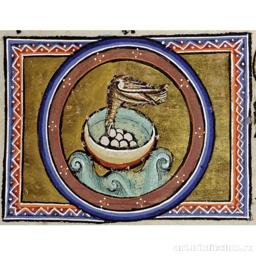 Куропатка. Миниатюра из Абердинского бестиария