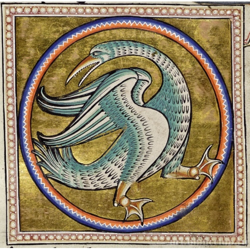 Миниатюра из Абердинского бестиария