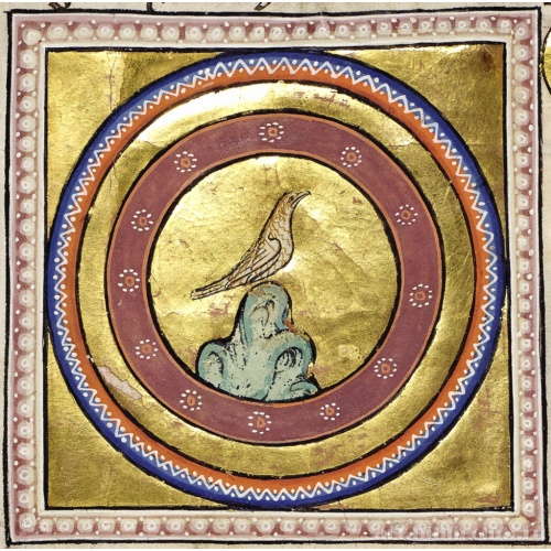 Перепел. Миниатюра из Абердинского бестиария