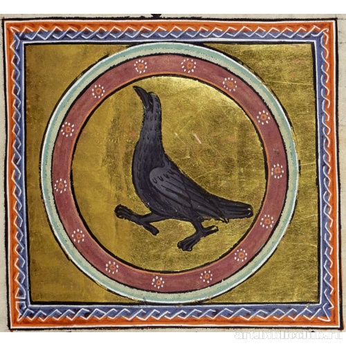 Ворон. Миниатюра из Абердинского бестиария