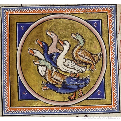 Утки. Миниатюра из Абердинского бестиария