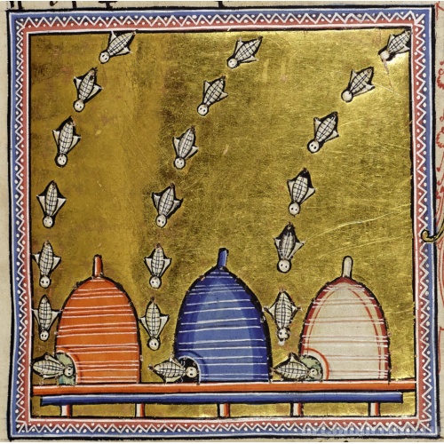 Пчелы. Миниатюра из Абердинского бестиария