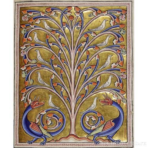 Драконы и голуби. Миниатюра из Абердинского бестиария