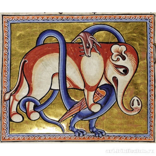 Дракон и слон. Миниатюра из Абердинского бестиария