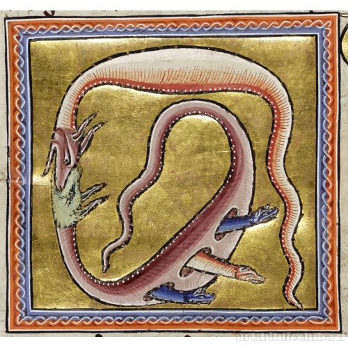 Гадюки. Миниатюра из Абердинского бестиария
