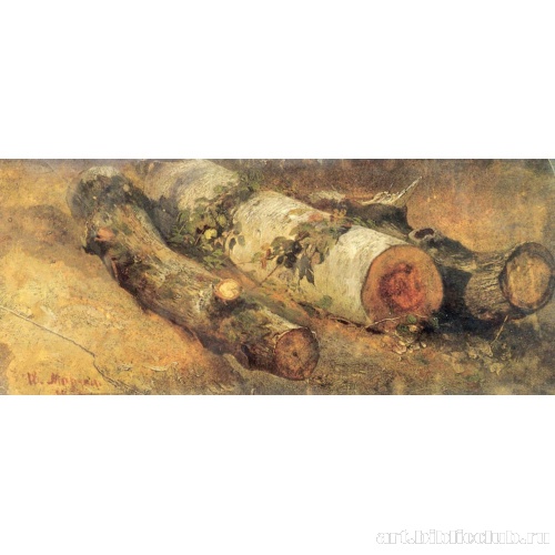 Срубленные березы