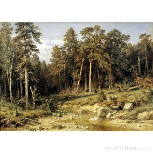 Сосновый бор. Мачтовый лес в Вятской губернии