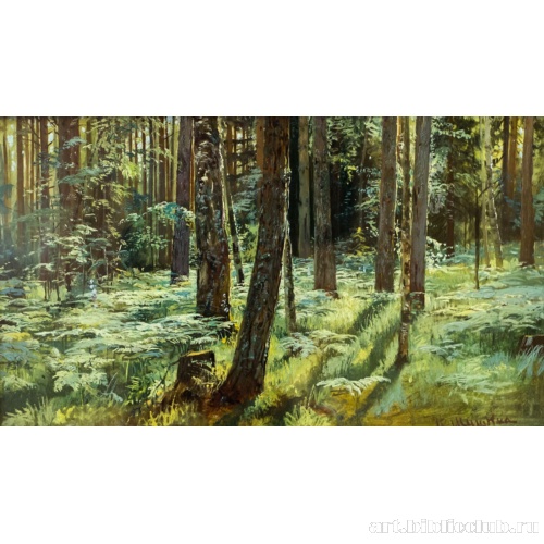 Папоротники в лесу