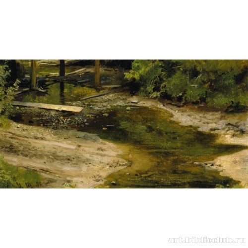 Лесная речка