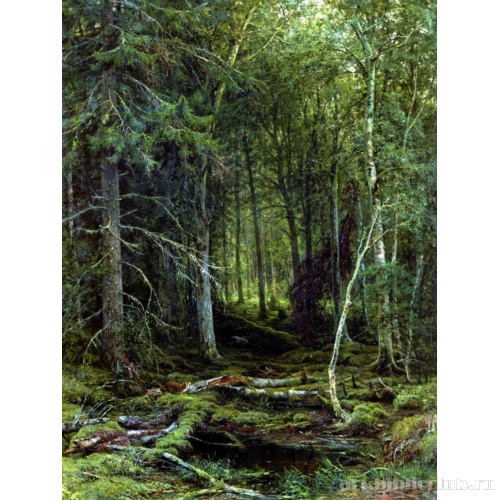 Лесная глушь