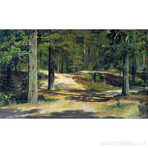 Сосновый лес