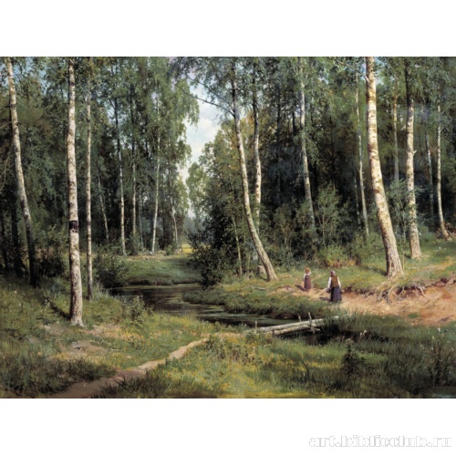 Ручей в березовом лесу