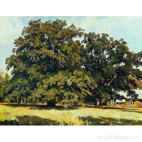 Мордвиновские дубы