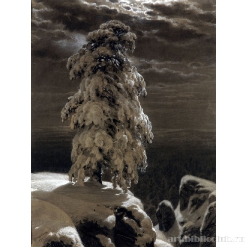 На севере диком...