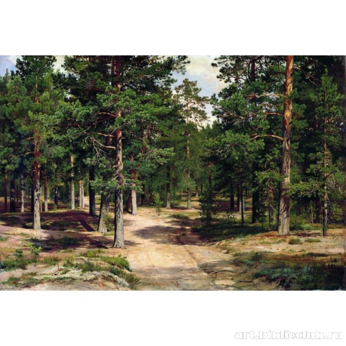 Сестрорецкий бор