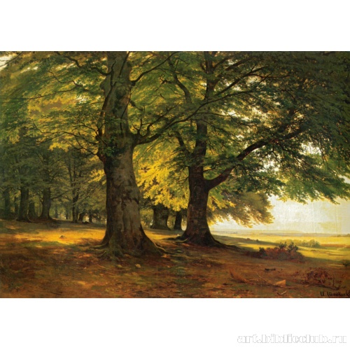 Тевтобургский лес