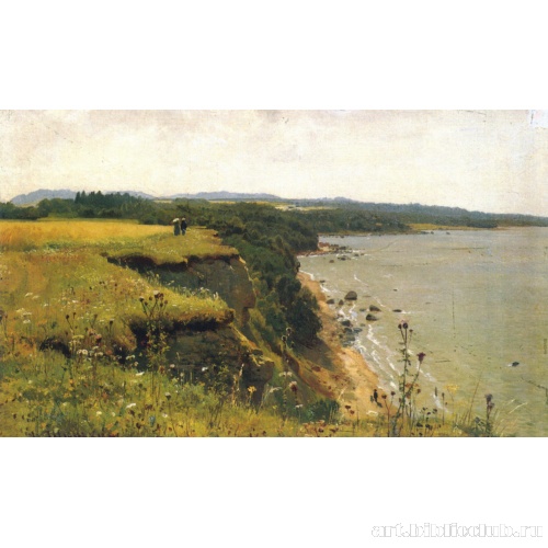 У берегов Финского залива