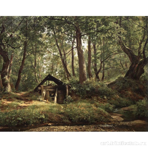 Солнечный день. Мерикюль