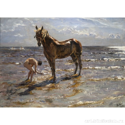 Купание коня