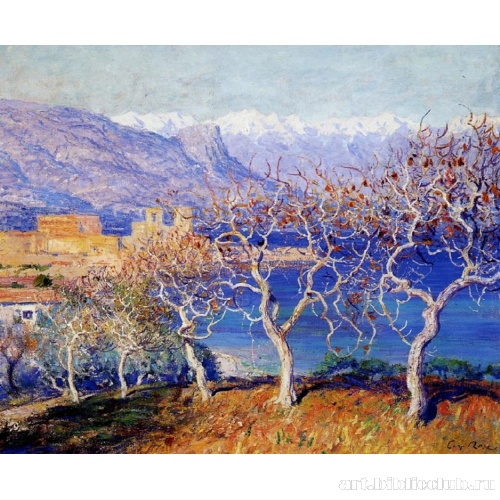 Фиговые деревья. Антиб