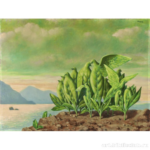 Остров сокровищ