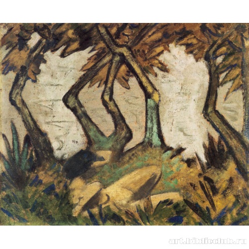 Девушка на берегу озера