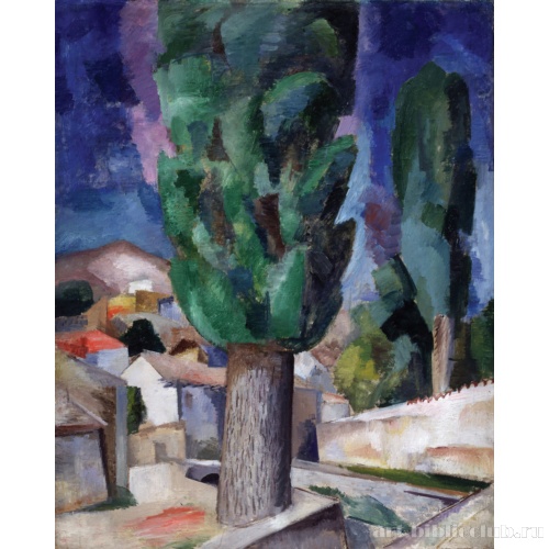 Крым. Пирамидальные тополя