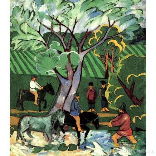 Купание лошадей