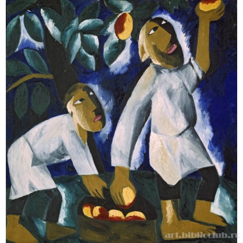 Крестьяне, собирающие яблоки