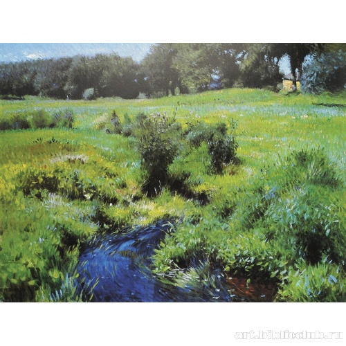 Заводь. Медфилд