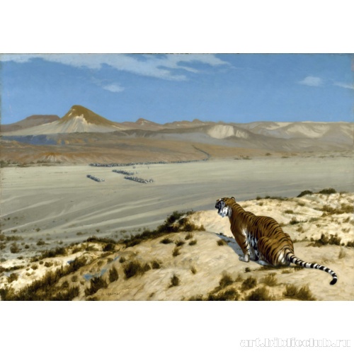 Наблюдающий тигр