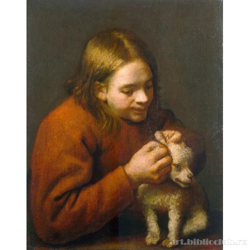 Мальчик ловит блох на собаке